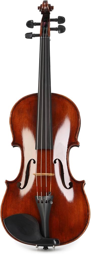 バイオリン　andreas eastman Andreas Eastman 1/4 ケース付き イーストマン 分数バイオリン